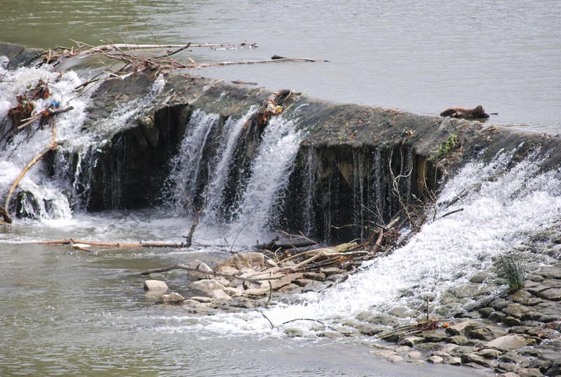 Serias amenazas para el remo navarro